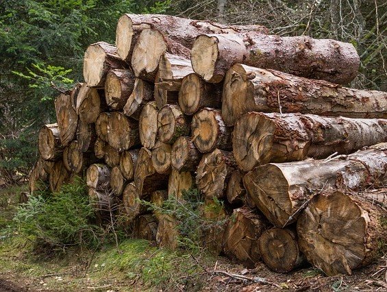 Étude potentiel restant de bois-énergie 