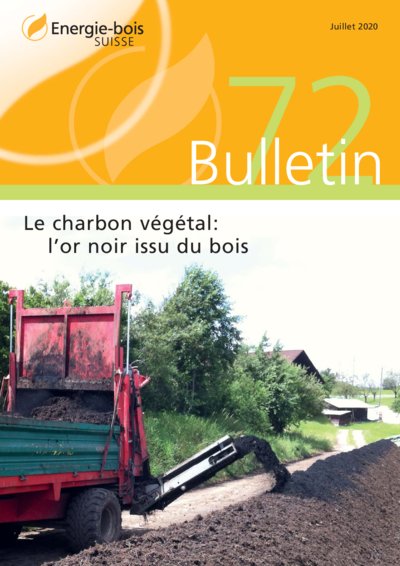 Le charbon végétal: l’or noir issu du bois