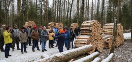 Une fois, deux fois, trois fois: le bois de chauffage plus demandé que jamais