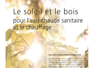 Le soleil et le bois