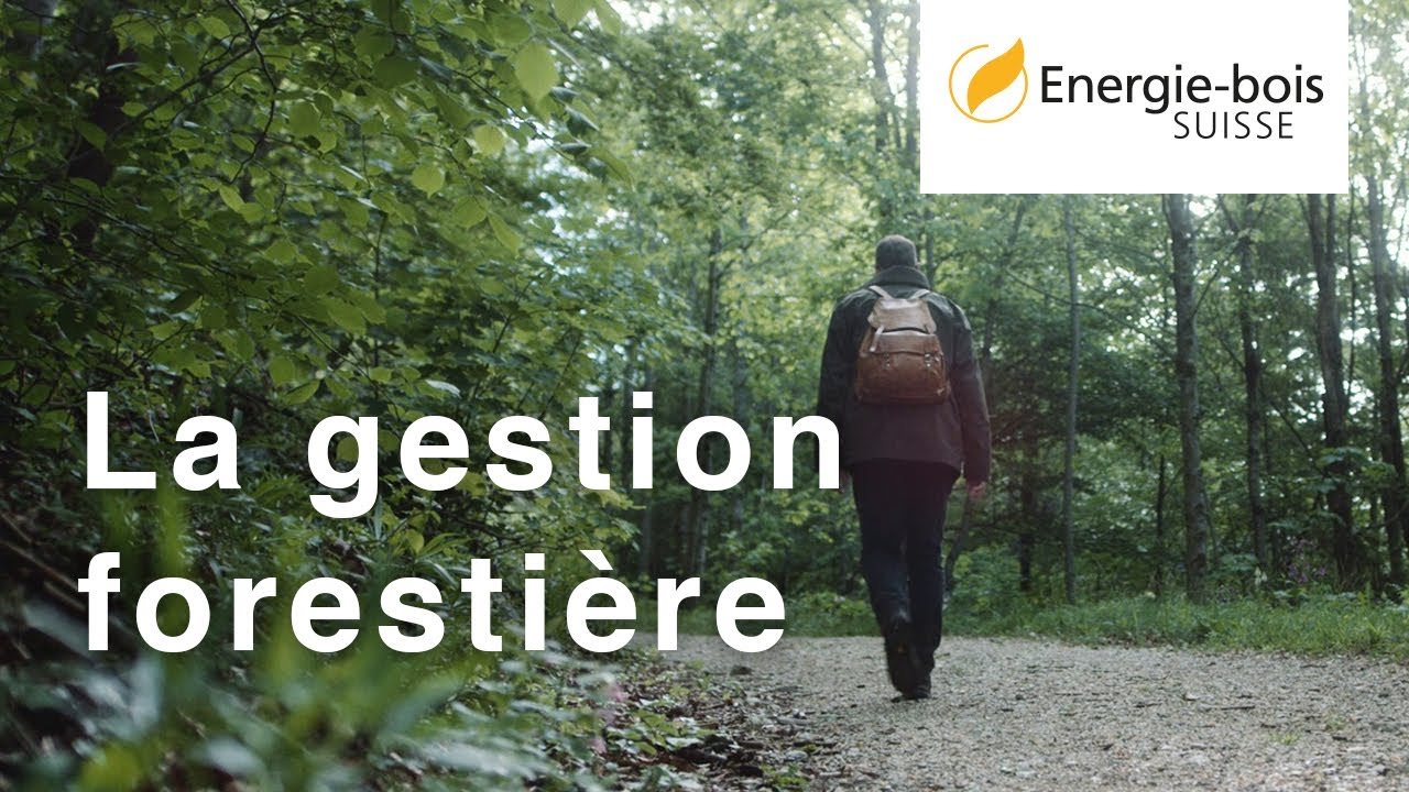 La gestion forestière