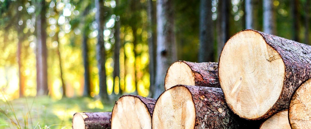 Pourquoi le bois-énergie?